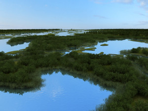 wetlands 3D Model