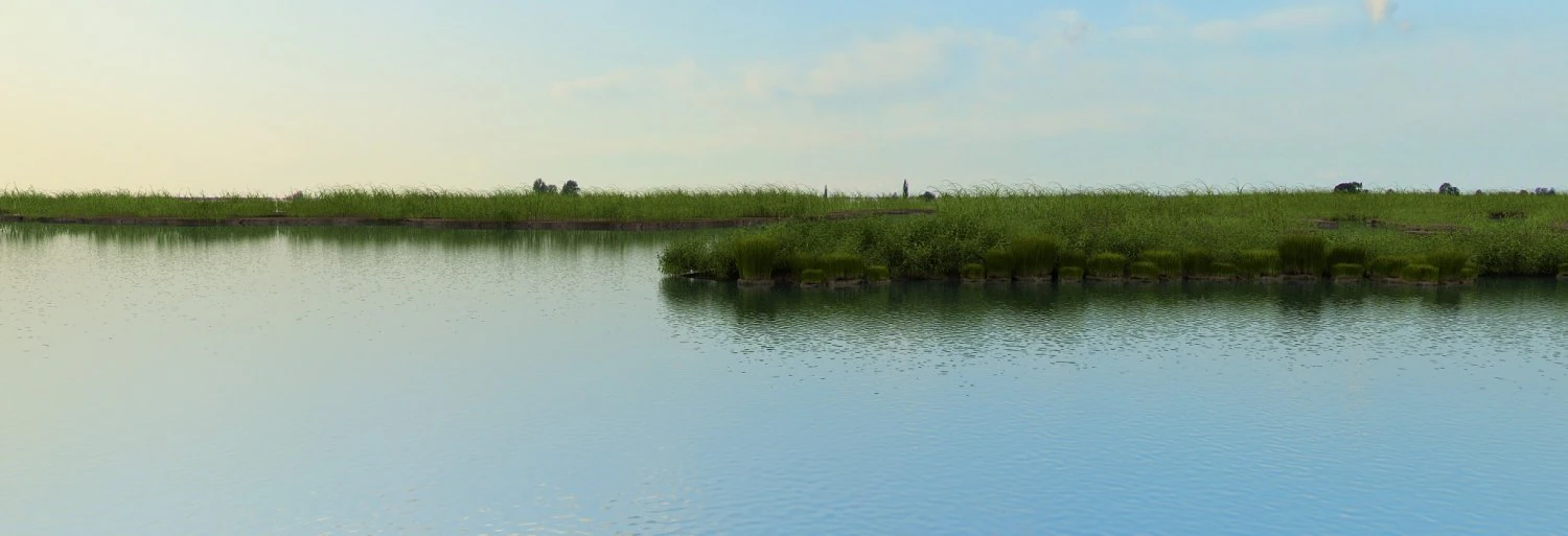wetlands 3D Model .c4d .max .obj .3ds .fbx .stl .blend 
