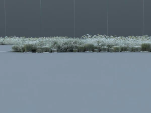 wetlands 3D Model