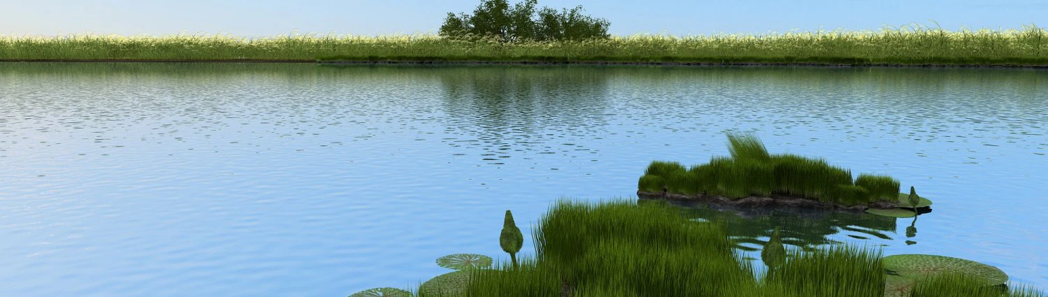 wetlands 3D Model .c4d .max .obj .3ds .fbx .stl .blend 