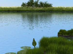 wetlands 3D Model