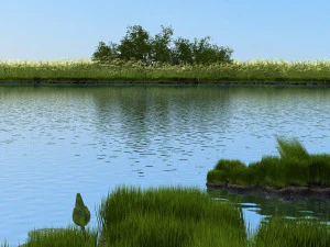 wetlands 3D Model