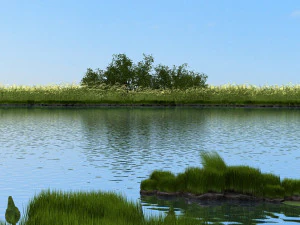 wetlands 3D Model