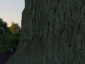 square 3D Model