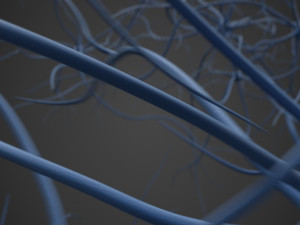 neurons 3D Model