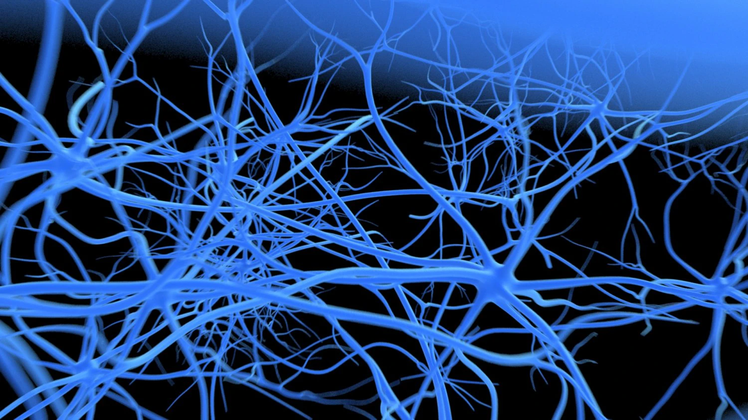 neurons 3D Model .c4d .max .obj .3ds .fbx .stl .blend