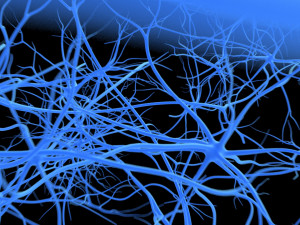 neurons Modelo 3D