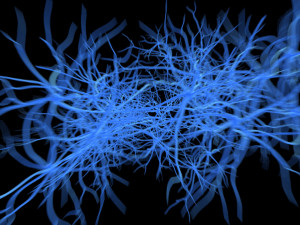 neurons 3D Model