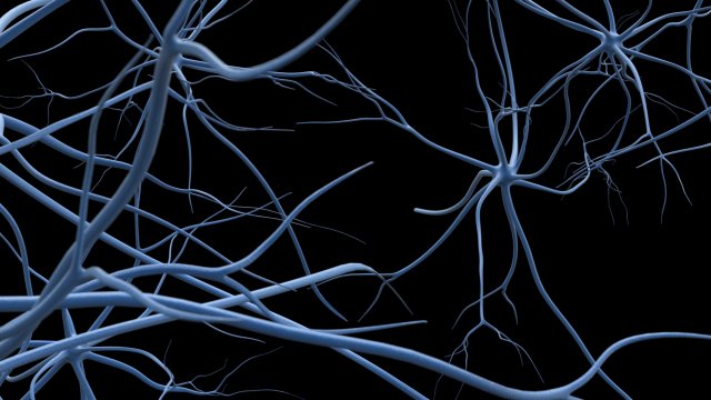 neurons Modèle 3D .c4d .max .obj .3ds .fbx .stl .blend