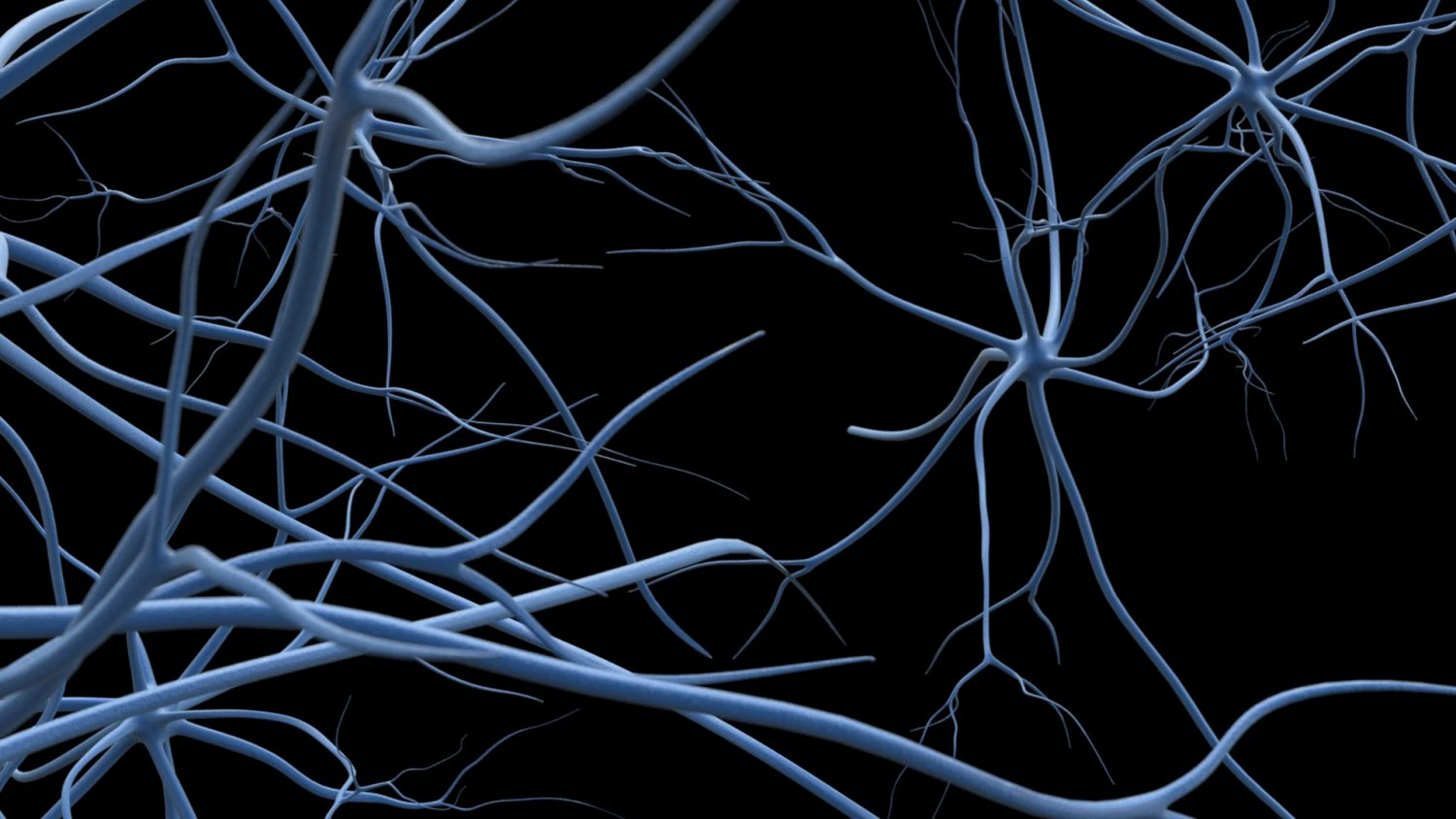 neurons 3D Model .c4d .max .obj .3ds .fbx .stl .blend