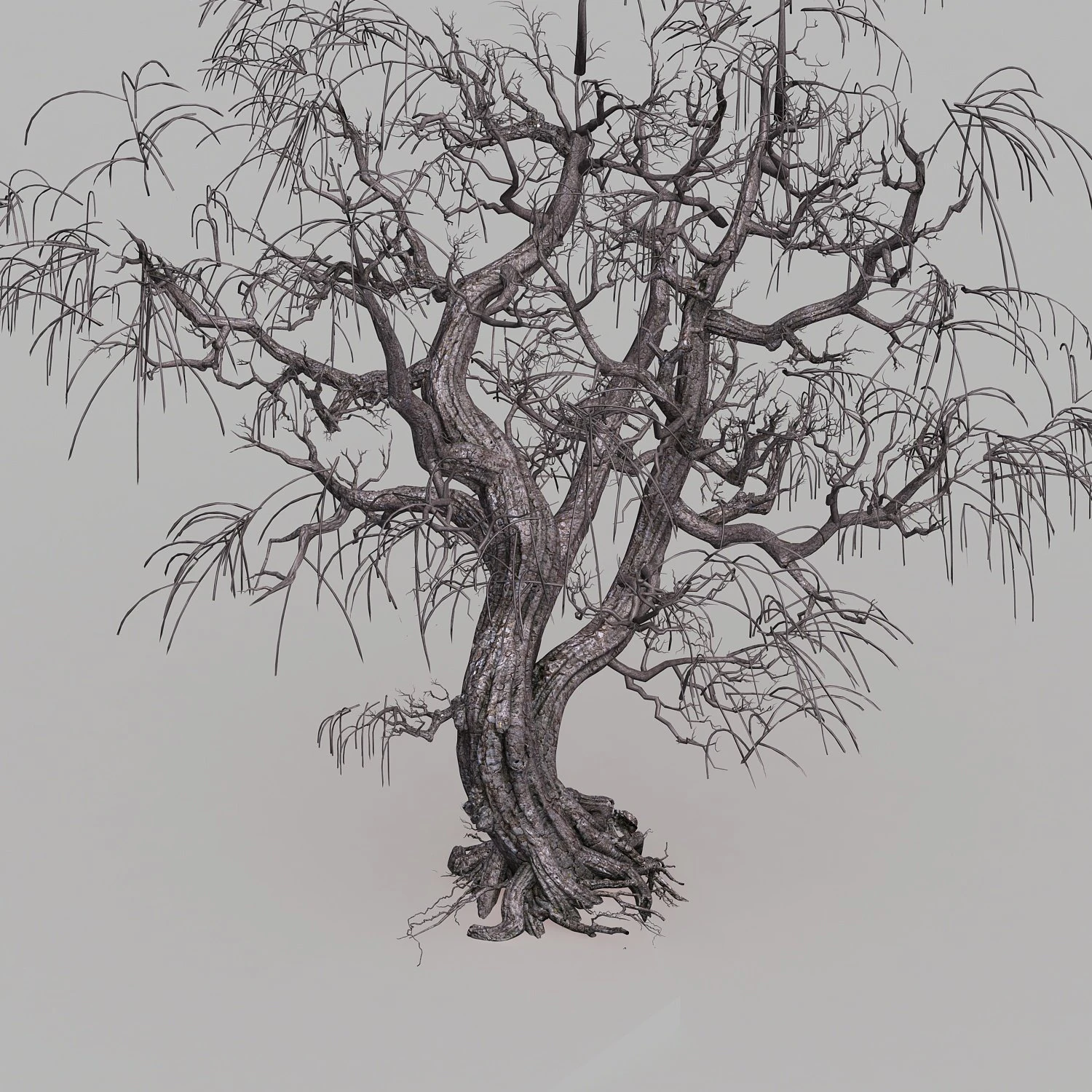 dead tree 3D Model .c4d .max .obj .3ds .fbx .stl .blend 