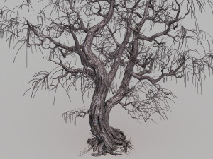 dead tree Modelo 3D