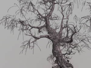 dead tree Modèle 3D