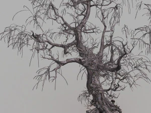 dead tree 3D Model