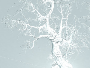dead tree Modèle 3D