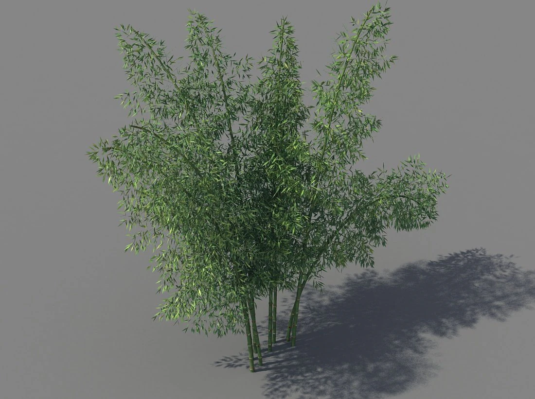 bamboo 3D Model .c4d .max .obj .3ds .fbx .stl .blend 