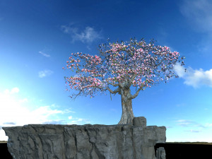 peach Modèle 3D
