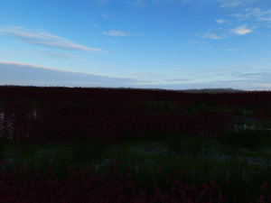 yellow river wetland Model 3D