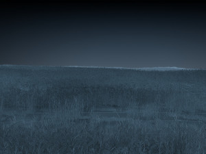 yellow river wetland Model 3D