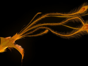 phoenix Modelo 3D