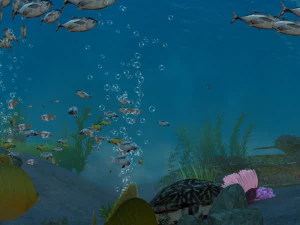 seabed 3D Model