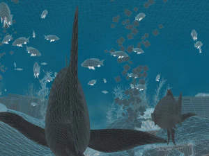 seabed 3D Model