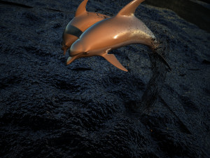dolphin 3D Model