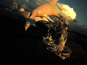 dolphin 3D Model