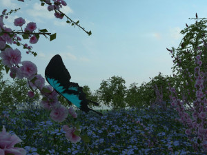 butterfly Modelo 3D