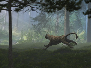 forest Modelo 3D