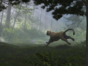 forest 3D Model