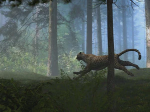 forest 3D Model