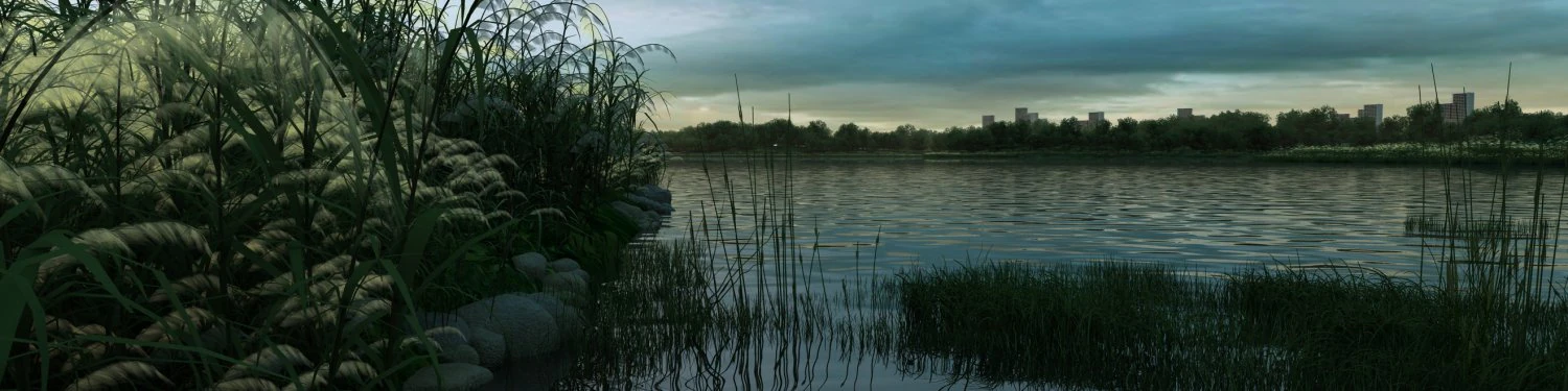 reeds 3D Model .c4d .max .obj .3ds .fbx .stl .blend 