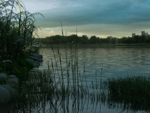 reeds 3D 模型