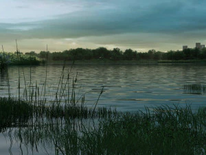 reeds 3D Model