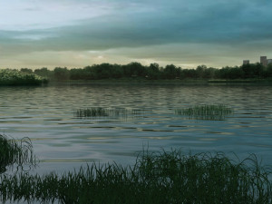 reeds Modèle 3D