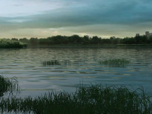reeds 3D Model