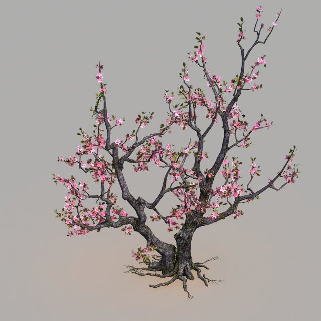 peach Model 3D .c4d .max .obj .3ds .fbx .stl .blend 