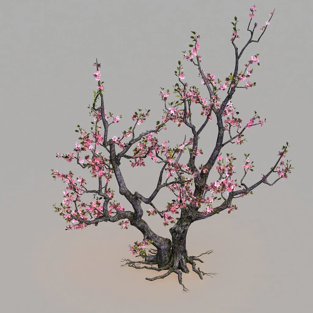 peach 3D Model .c4d .max .obj .3ds .fbx .stl .blend 