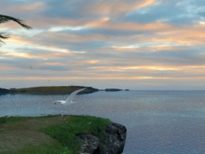 island 3D 模型