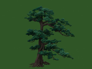 pine tree Modelo 3D