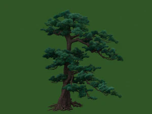 pine tree 3D Model
