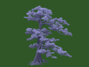 pine tree Modelo 3D