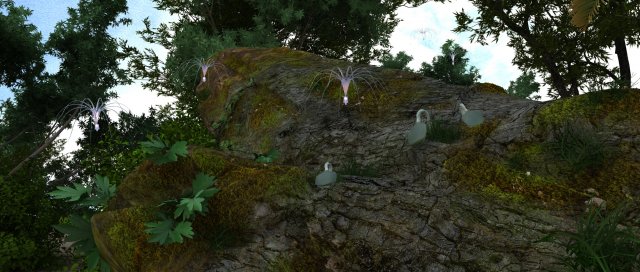 seed germination 3D Model .c4d .max .obj .3ds .fbx .stl .blend 