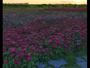Flowerbed Model 3D