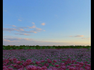 Flowerbed Model 3D