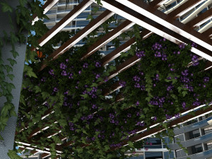 flower gallery Modèle 3D