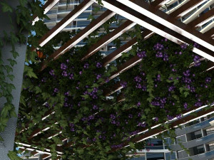 flower gallery 3D Model
