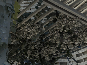 flower gallery Modèle 3D