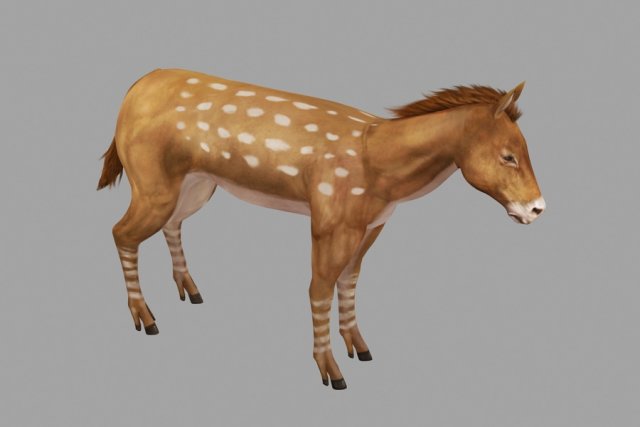 new breed horse Modello 3D .c4d .max .obj .3ds .fbx .stl .blend 